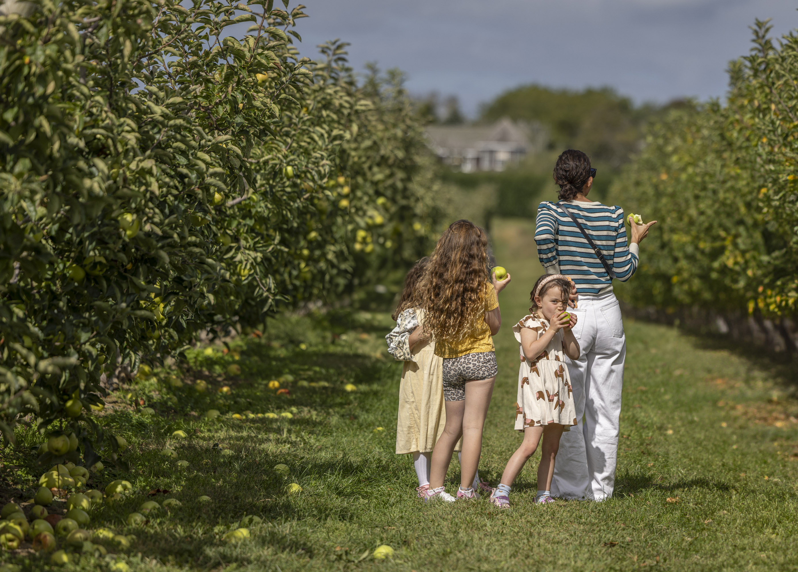 Milk Pail Market & U-pick - photography by Graphic Image Group Inc.